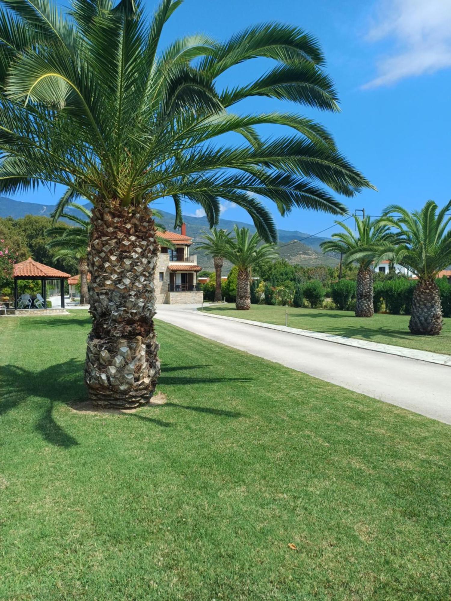 Villa Kallimanis Platanidia Bagian luar foto